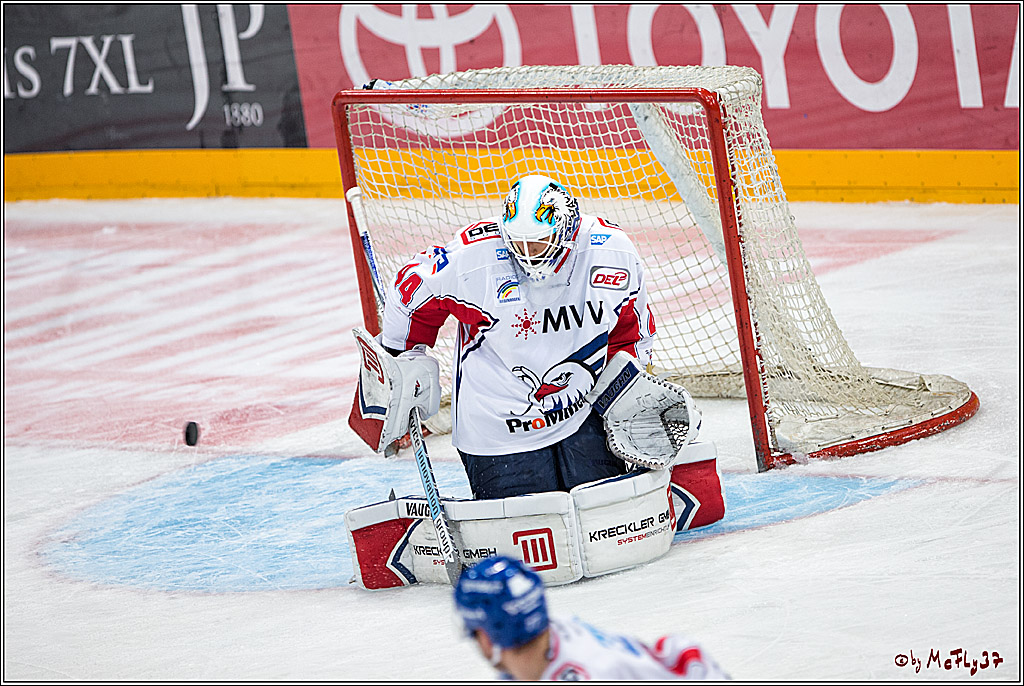 Koelner Haie - Adler Mannheim, 30.10.2016